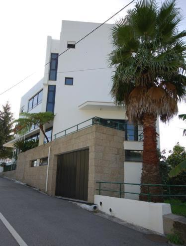 Hotel O Cortico Sever do Vouga Zewnętrze zdjęcie