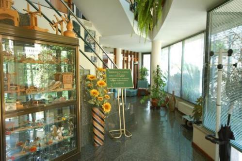 Hotel O Cortico Sever do Vouga Zewnętrze zdjęcie